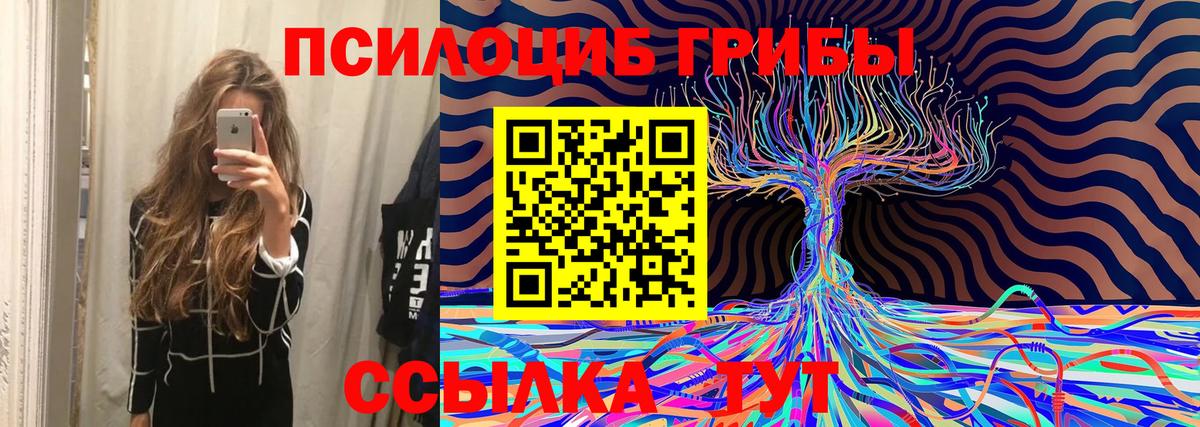 Псилоцибиновые грибы Magic Shrooms  Вход с VPN  Костомукша  Галлюциногенные грибы Magic Shrooms 